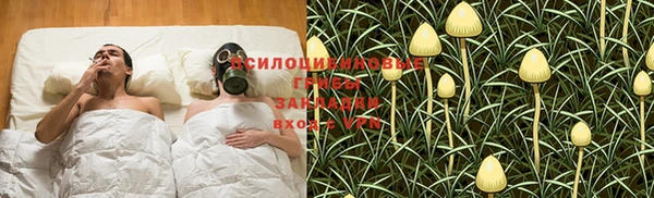прущие крисы Алзамай