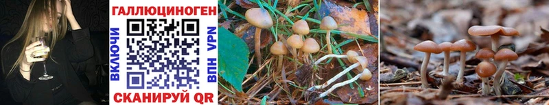 Псилоцибиновые грибы MAGIC MUSHROOMS  Сосновоборск 