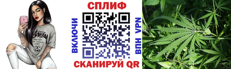 купить закладку  Сосновоборск  Канабис семена 